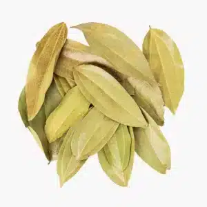 Cinnamon Leaf - Raja Spices Kerala