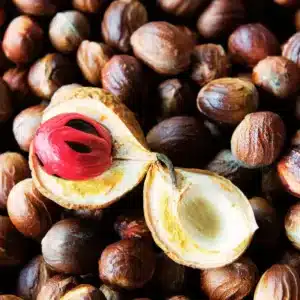 Nutmeg - Raja Spices Kerala