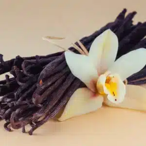 Vanilla - Raja Spices Kerala